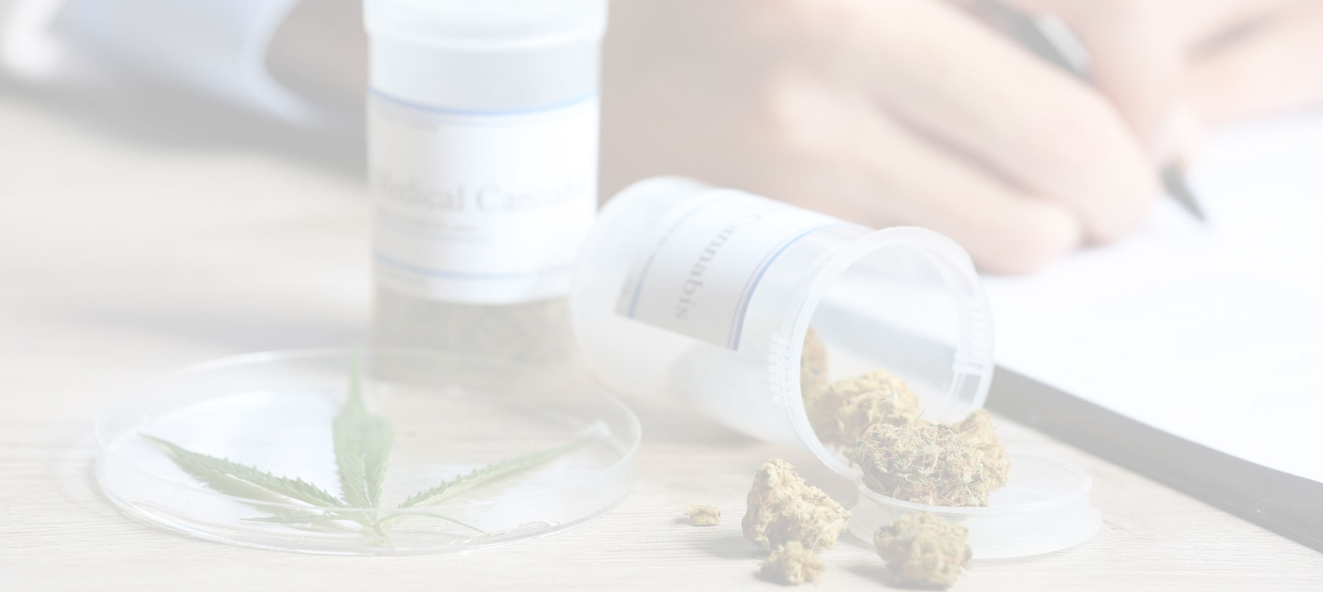 Cannabis et médecine