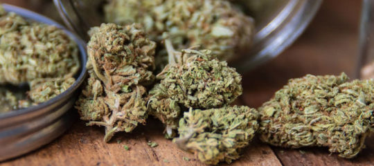 CBD